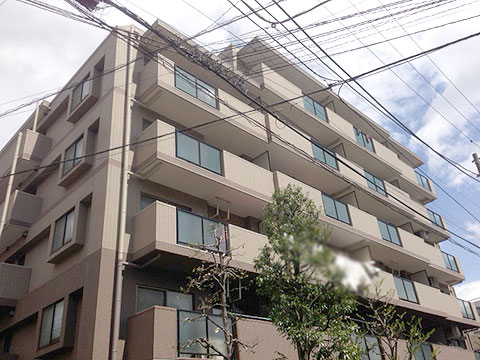 現地外観写真 外観