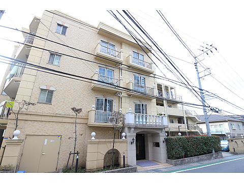 現地外観写真 外観