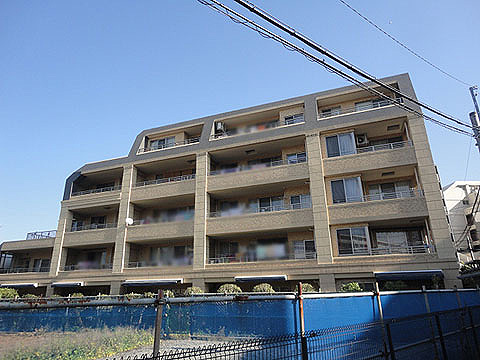 現地外観写真 外観