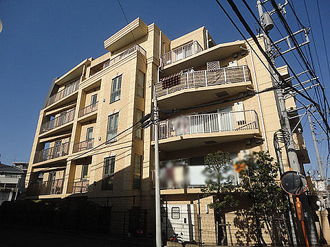 現地外観写真 外観