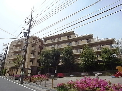 現地外観写真 外観