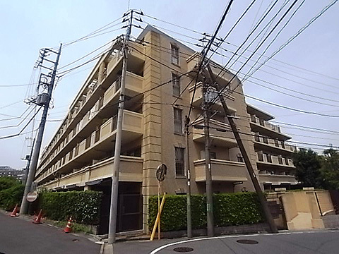 現地外観写真 外観