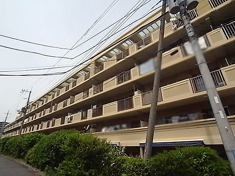 現地外観写真 外観