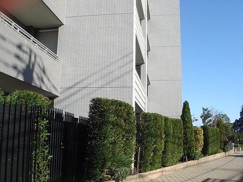 その他共用部　共用部