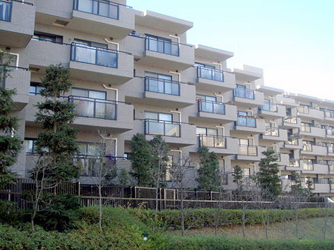 現地外観写真 外観