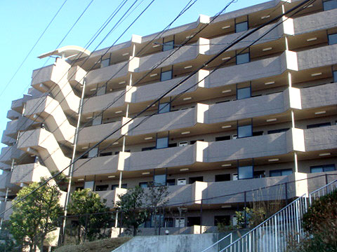 現地外観写真 外観