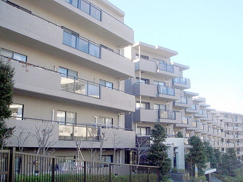 現地外観写真 外観