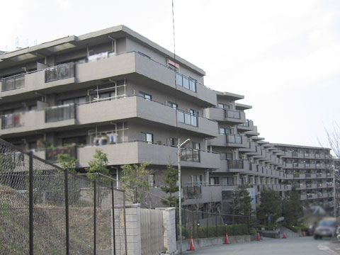 現地外観写真 外観