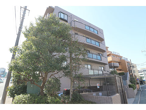 現地外観写真 外観