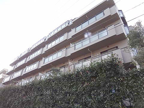 現地外観写真 外観