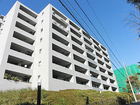 現地外観写真 外観