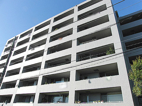 現地外観写真 外観