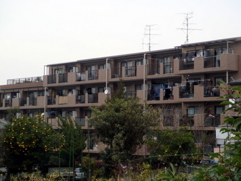 その他共用部　外観7