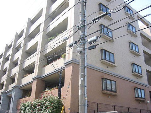 現地土地写真　外観