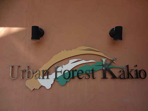 その他共用部　写真1