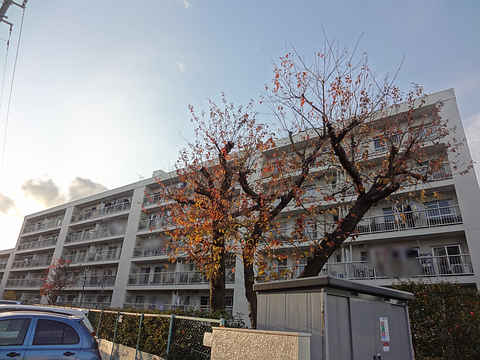 その他共用部　外観3