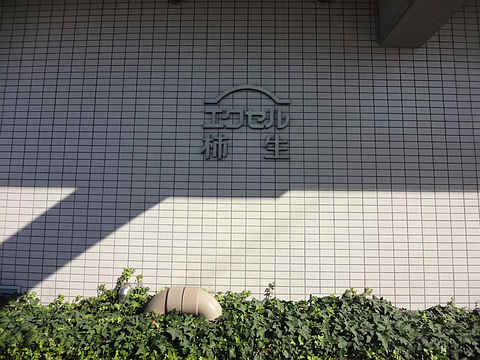 その他共用部　写真1