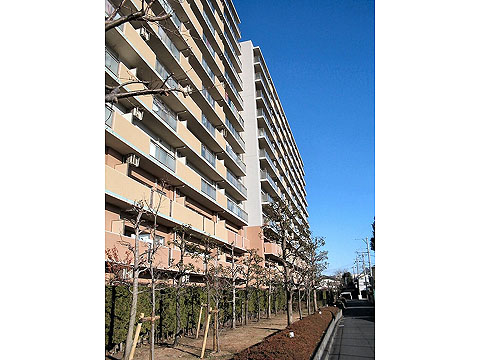 その他共用部 外観4