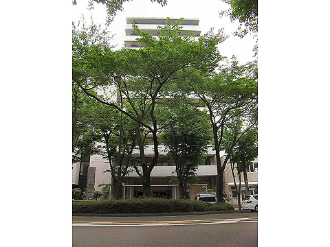 その他共用部 外観3