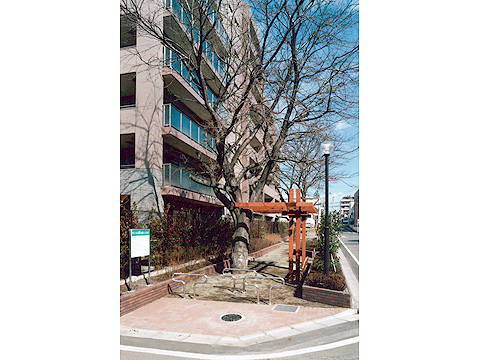 その他共用部　チェリーガーデン