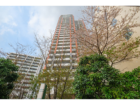 現地外観写真　外観