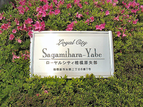 その他共用部 写真1