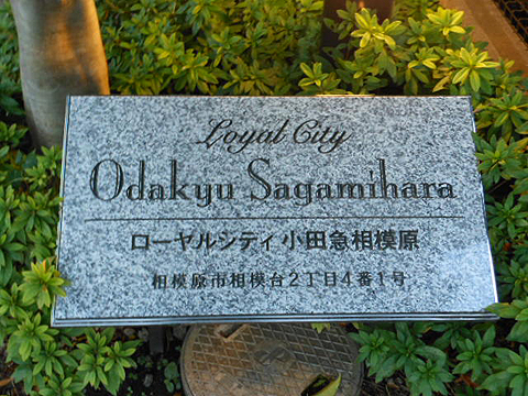 その他共用部　写真1