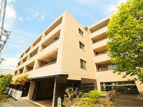 現地外観写真　8