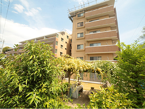 現地外観写真 5