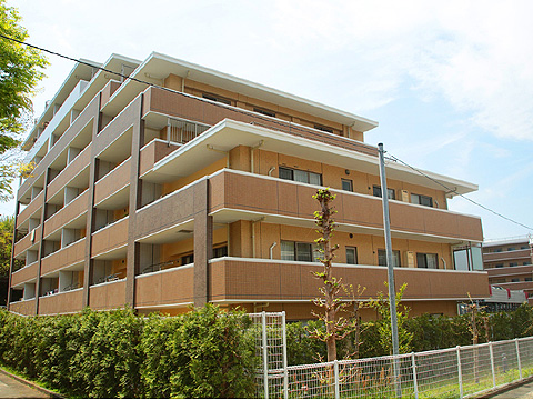 現地外観写真 8