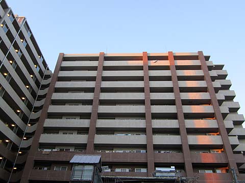 その他共用部　外観南側