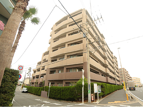 現地外観写真　LIONSMANSIONchigasakiGr