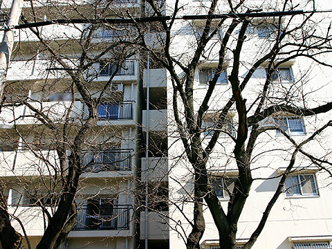 その他共用部　外観３