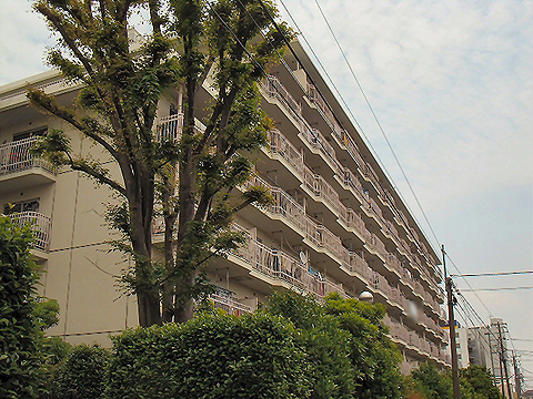 その他共用部　外観2