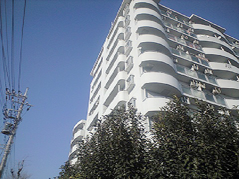 その他共用部 外観7