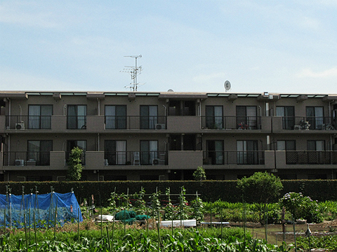 その他共用部 外観5