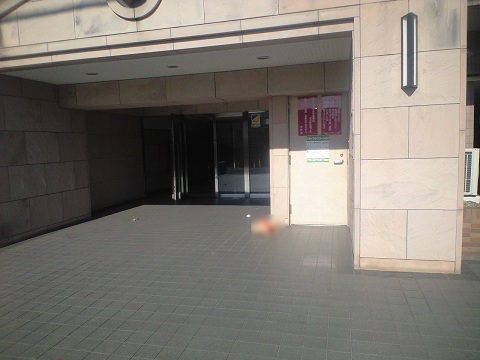 その他共用部　エントランス2