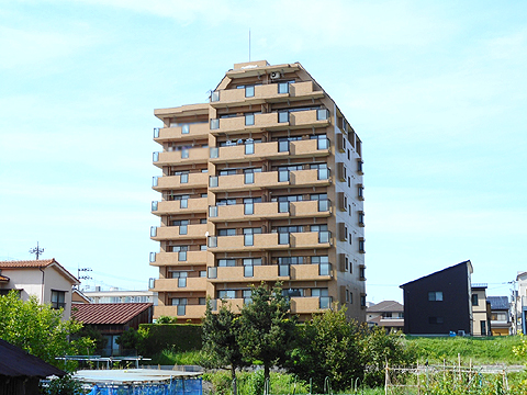 現地外観写真 南側外観