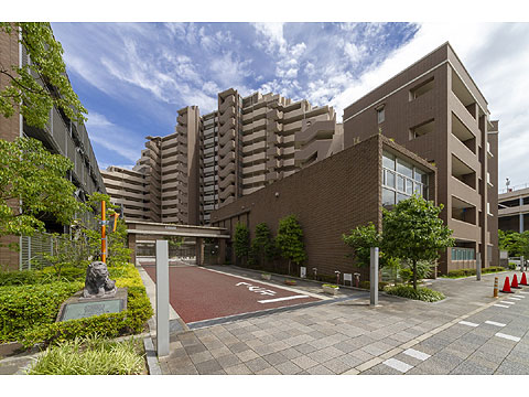 現地外観写真 外観