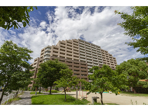 現地外観写真 外観