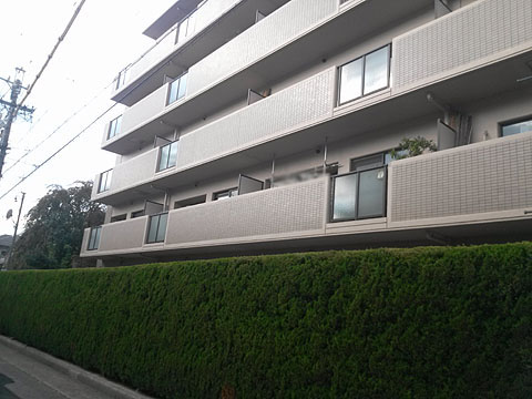 その他共用部 外観3