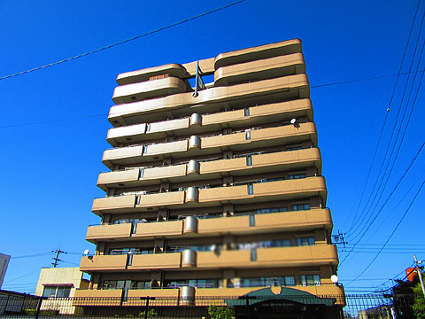 現地外観写真 建物外観(南側)