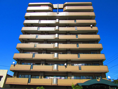 現地外観写真 建物外観(南側)