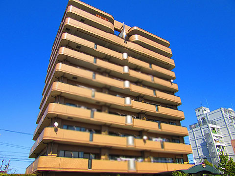 現地外観写真 建物外観(南西側)