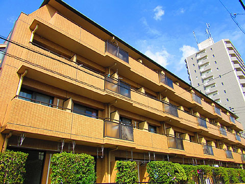 現地外観写真 建物外観(南西側)