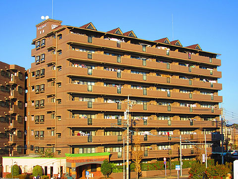 現地外観写真　建物外観（南西側）