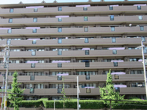 現地外観写真　建物外観〔南側〕