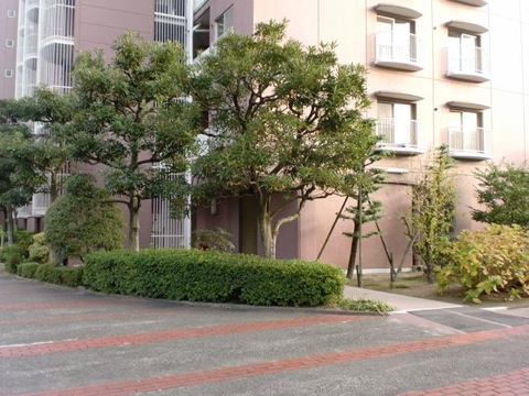 その他共用部 外観6