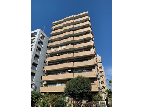 現地外観写真　建物外観（南東側）