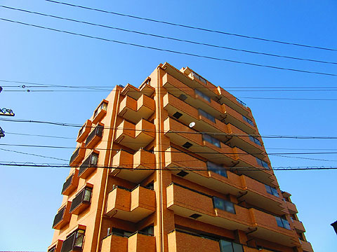 現地外観写真 建物外観(南西側)